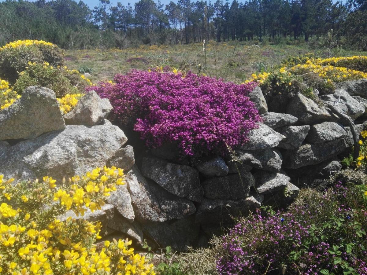 Fragas Da Canteira Hotel Rural Lires Εξωτερικό φωτογραφία